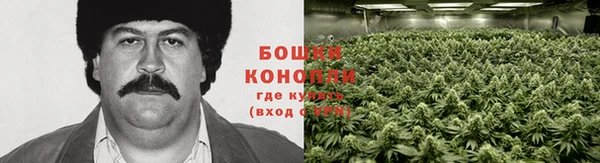 мефедрон мука Нефтегорск