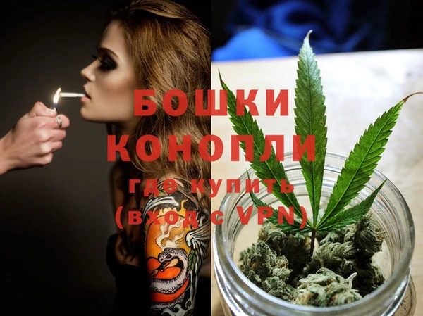 метадон Новозыбков