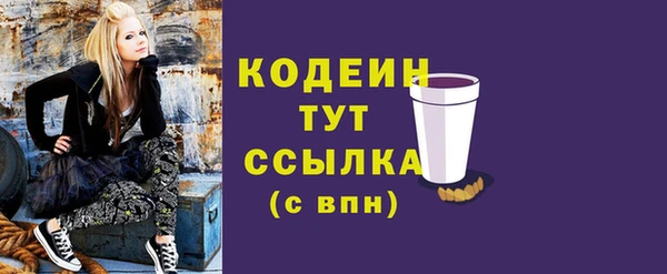 первитин Новодвинск