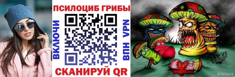 Псилоцибиновые грибы мицелий  Купить  Козельск 
