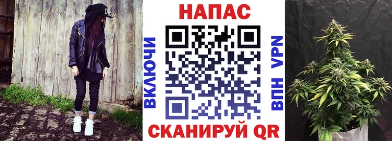 Купить где Козельск Каннабис марихуана